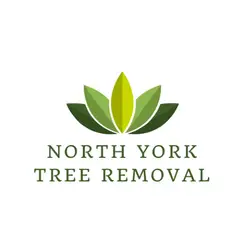 Tree Removal North York - North York, ON, Canada