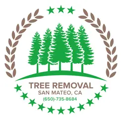 Tree Removal San Mateo - San Mateo, CA, USA