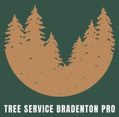 Tree Service Bradenton Pro - Bradenton, FL, USA