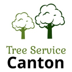 Tree Service Canton - Canton, GA, USA