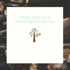 Tree Service Fredericksburg