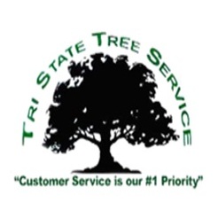 Tree-State Tree Service - Pensacola, FL, USA