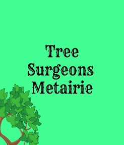 Tree Surgeons of Metairie - Metairie, LA, USA Tree Surgeons of Metairie - Metairie, LA, USA