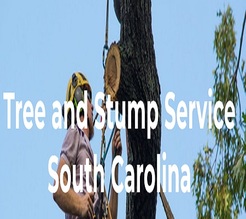 Tree and Stump Service SC - Colombia, SC, USA