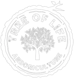 Tree of Life Arboriculture - Basingstoke, Hampshire, United Kingdom