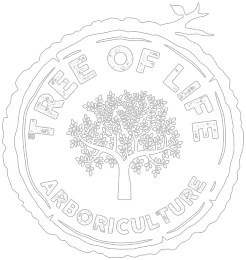Tree of Life Arboriculture - Basingstoke, Hampshire, United Kingdom Tree of Life Arboriculture - Basingstoke, Hampshire, United Kingdom