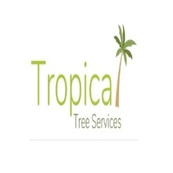 Tropical Tree Services - Darwin, NT, Australia Tropical Tree Services - Darwin, NT, Australia