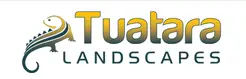 Tuatara LANDSCAPES - Auckland, Auckland, New Zealand