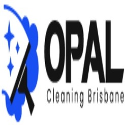 Upholstery Cleaner Brisbane - Brisbane City, QLD, Australia