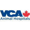 VCA Canada Lakeview Animal Hospital - Saskatoon, SK, Canada