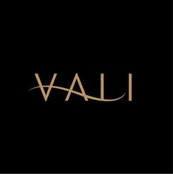 Vali Entertainment - New York Live Music Bands - New York, NY, USA
