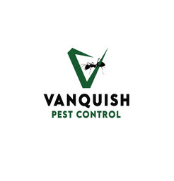 Vanquish Pest Control - Brampton, ON, Canada