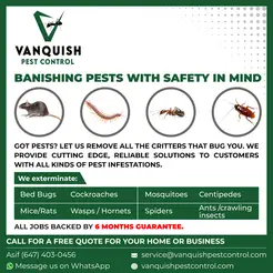 Vanquish Pest Control - Brampton, ON, Canada