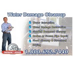 Water Damage Cleanup Pros of Needham - Needham, MA, USA