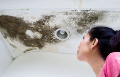 Water Damage Experts of Orange County - Seal Beach, CA, USA Water Damage Experts of Orange County - Seal Beach, CA, USA