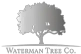 Waterman Tree Co - Hitchin, Hertfordshire, United Kingdom Waterman Tree Co - Hitchin, Hertfordshire, United Kingdom