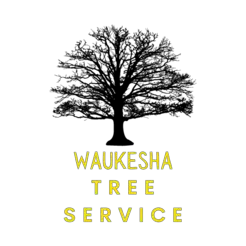 Waukesha Tree Service - Waukesha, WI, USA
