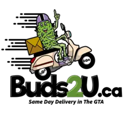 Weed Delivery Mississauga - No Store - Buds2U - Missisauga, ON, Canada