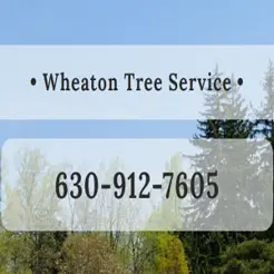 Wheaton Tree Removal - Wheaton, IL, USA