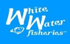 White Water Fisheries - Ripley, Derbyshire, United Kingdom
