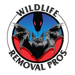 Wildlife Removal Pros - Winchester, KY, USA