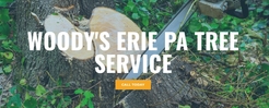 Woody\'s Erie Pa Tree Service - Erie, PA, USA