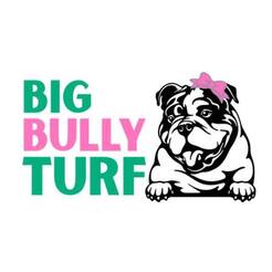 Big Bully Turf - San Diego, California, CA, USA