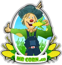 mr Corn BBQ Catering & Food Truck Co - North York, ON, Canada