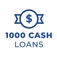 1000 Cash Loans - Merrillville, IN, USA