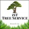 1st Tree Service - Roswell, GA, USA