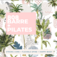 808 Barre + Pilates - Kailua, HI, USA