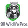 911 Wildlife Pros - Burlington, ON, Canada