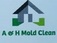 A & H Mold Clean - Dover, DE, USA