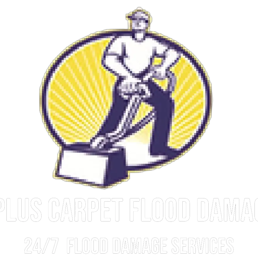 A plus Carpet and Flood damage - Grand Prairie, TX, USA
