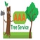 AAA TREE SERVICE NY CORP - BAY SHORE, NY, USA