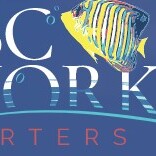 ABC Snorkel Charters - Port Douglas, QLD, Australia