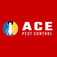 Ace Pest Control Brisbane - Brisbanae, QLD, Australia