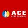 Ace Termite Control Melbourne - Melbourne, VIC, Australia