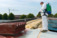 Affordable Asbestos Removal Hampshire - Portsmouth, Hampshire, United Kingdom