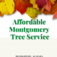 Affordable Montgomery Tree Service - Montgomery, AL, USA