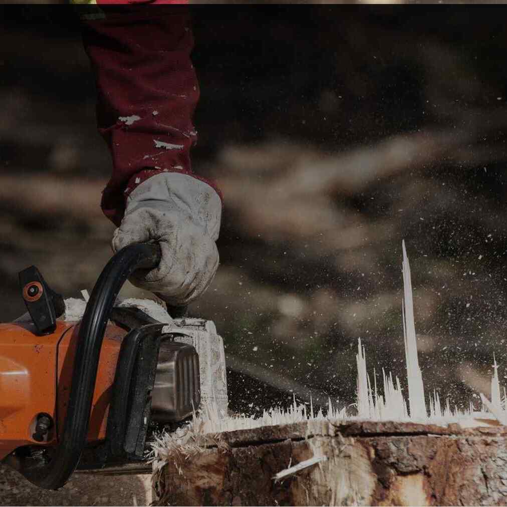 Tree Services Adelaide Hills