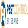 Ants Pest Control Brisbane - Brisbane City, QLD, Australia