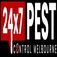 Ants Pest Control Melbourne - Melbourne, VIC, Australia