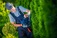 ArboristsDarwin.com.au - Darwin, NT, Australia