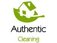 Authentic Cleaners - Stratford, London E, United Kingdom
