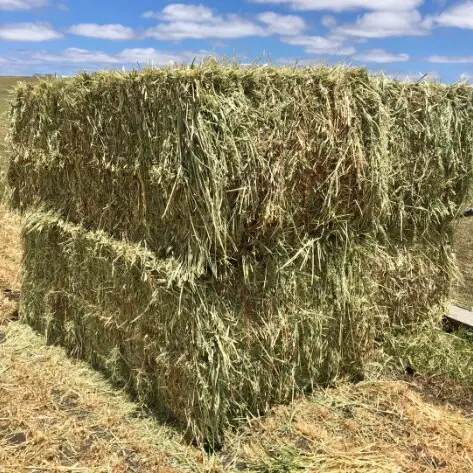 Baling Twine