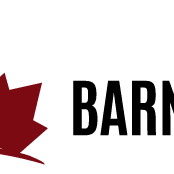 Barn Stars Painters - Richmond Hills, ON, Canada