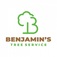 Benjamin\'s Tree Service - Las Vegas, NV, USA