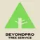 BeyondPro Tree Service - Tampa, FL, USA