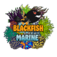 Blackfish Marine - England, Devon, United Kingdom